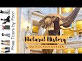 Highlights of the Smithsonian Natural History Museum