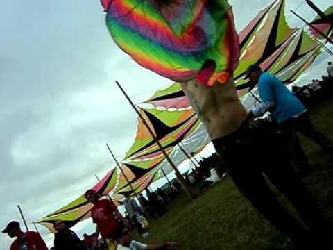 thally 19/03/11arte flag