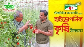 হাইড্রোপনিক কৃষি উদ্যোগ