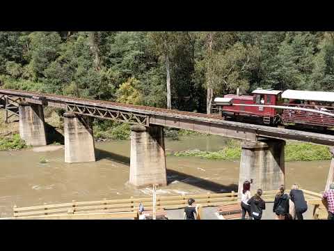 A surprise - Walhalla-bound train crossed ripping Thomson River