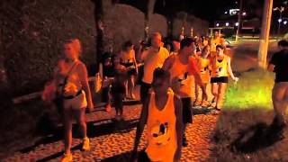 preview picture of video 'Samba e desfile do Bloco Pé na Jaca no Carnaval de Blumenau 2015. Imagens: #BlogdoJaime'