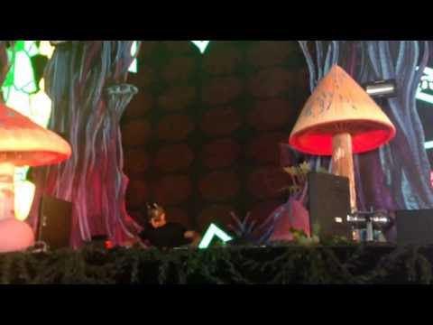 Sandro silva- live for the night (krewella) (live from tomorrowWorld)