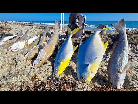Catching Dinner off the Beach in the "Florida Winter" | Pompano and Whiting