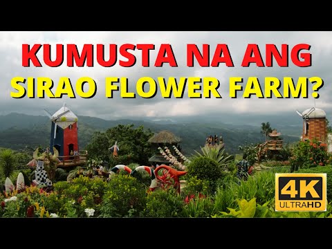 Sirao Flower Garden 2021 Update | Cebu City New Normal Travel Vlog 4K