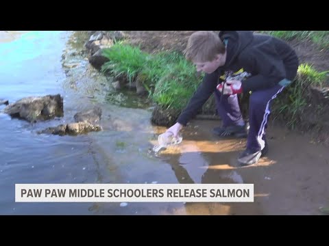 Sixth-grade class in Paw Paw releases salmon they raised