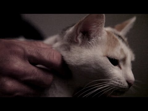 Video thumbnail for Allô maman