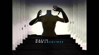 Wallis Bird - Gloria HQ (New Album 2014 Architect)