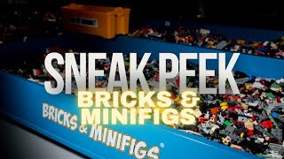 Exclusive First Look Inside Bricks & Minifigs Murfreesboro