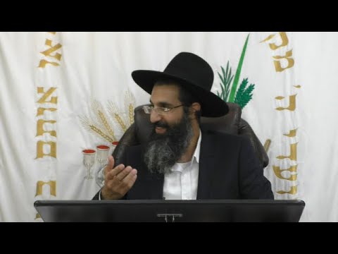 שתהיו אוהבים זה את זה ומכבדים זה את זה 🍃 הרב שי עובד | רביעי - חוהמ סוכות - תשפב