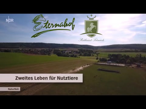 Eternahof Bad Gandersheim