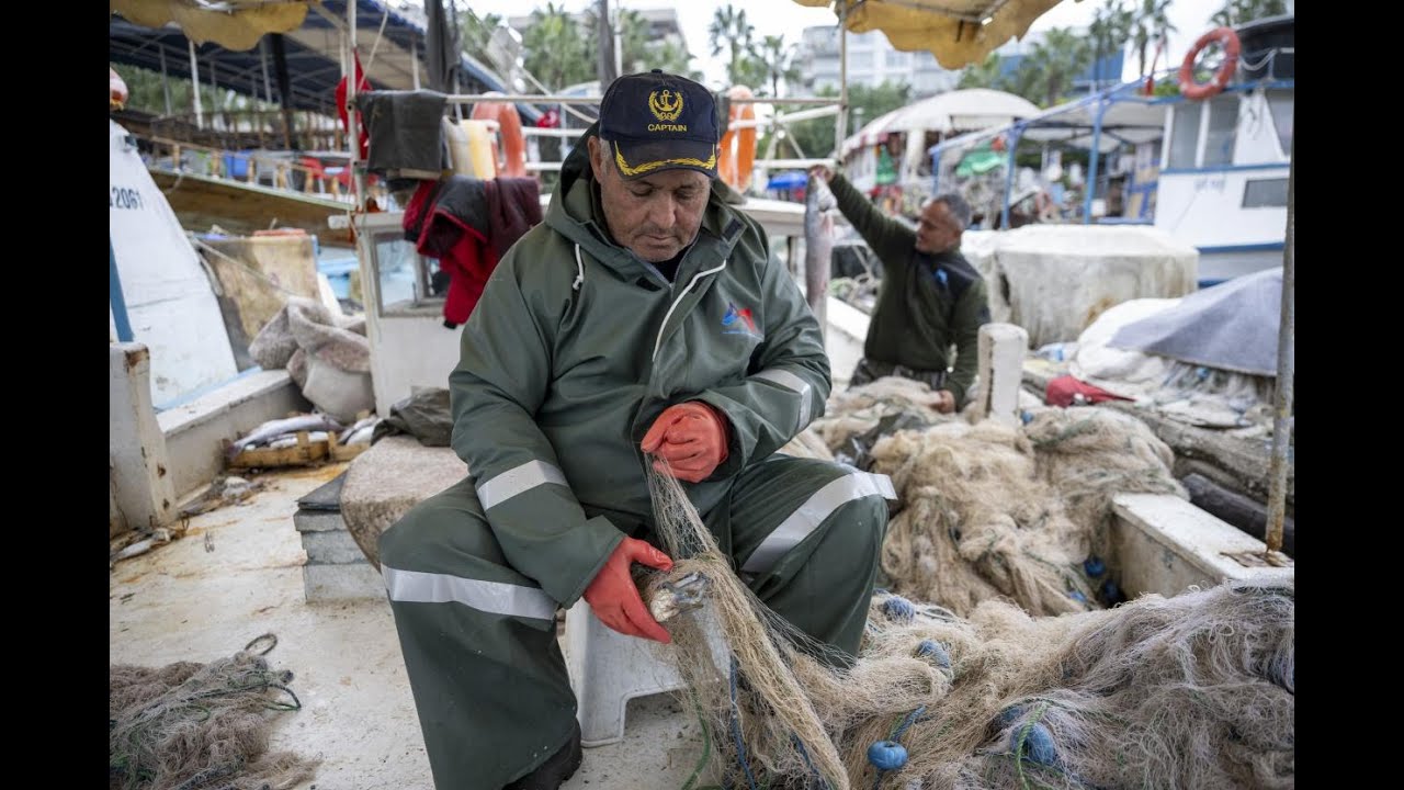 MERSİN BÜYÜKŞEHİR BELEDİYESİ KÜÇÜK ÖLÇEKLİ BALIKÇILARIN YANINDA