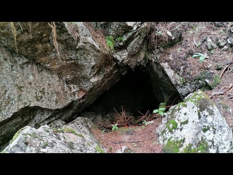 Altbergbau: Puchenstuben, Stollen 2