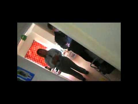 INSPECTOR THAT SEES NOTHING (WYVERNWOOD PART 8)