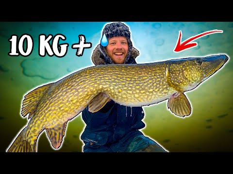 10+ GIANT PIKE CAUGHT FROM ICE (Dream Fishing) | Team Galant
