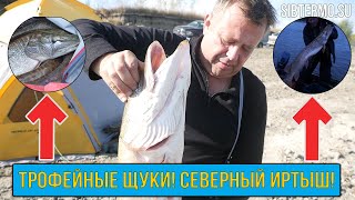 Северный рыбалка форум лыткино
