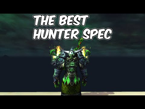 BEST Hunter Spec - 11.0.5 Survival Hunter PvP - WoW The War Within