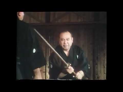 Shin'yoto-ryu 心形刀流
