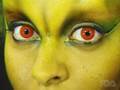 Improper Use of Decorative Contact Lenses May Haunt You (Consumer Update)