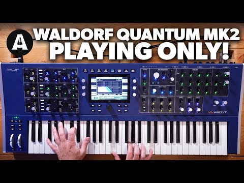 Waldorf Quantum MK2 - Playing Only!