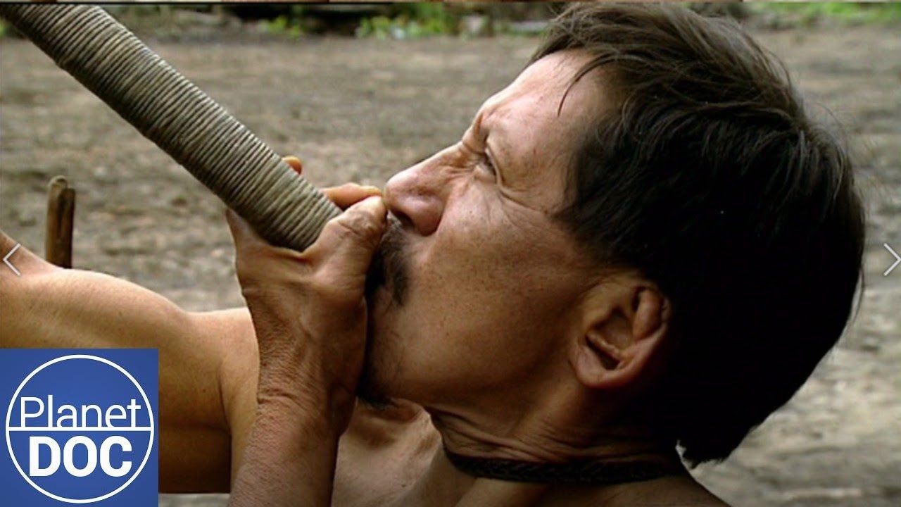 Hijos del Jaguar 🐆 | Huaoranis, Amazonas y Cultura Indígena en Peligro (Documental Completo)