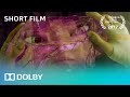 Dolby Presents Escape An Animated Short