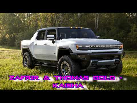 Zafrir & Thomas Gold - Kaisha | 30 minutes