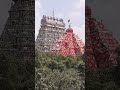 THIRUVARUR THIYAGARAJAR TEMPLE ASIA THE BIGGEST CHARIOT RECENTS PICTURES