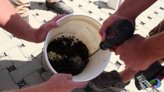 Blue Moon Rising.org - Earth Bag Retaining Wall w. Moss Paint