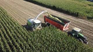 Van Bruwaene RWK | Mais hakselen | New CLAAS Jaguar 960 | New CLAAS Orbis 750