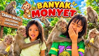 Download lagu DANISA KASIH MAKAN MONYET LIAR DI KALIURANG BARENG KAK DINAR  #viral #trending mp3