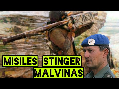 U.S.A NOS PRESTÓ ILEGALMENTE LOS MISILES STINGER - CTE.(SAS) M. ROSE