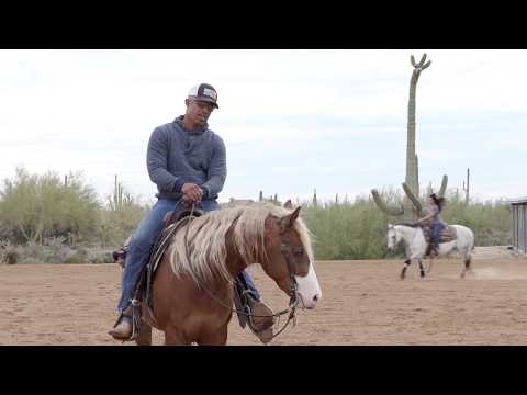 HOW TO GET YOUR HORSE TO CRAVE A SLOW LOPE.