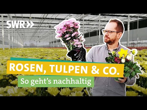 , title : 'Schöne Blumen, miese Ökobilanz – So werden Schnittblumen nachhaltiger! I Ökochecker SWR'