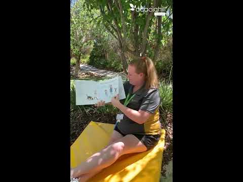 Acacia Hill Childcare Story Time - We're going on a bear hunt