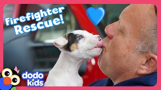 Firefighters Rescue Puppy And Find Him A Home | Dodo Kids | Rescued!