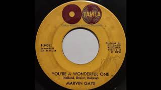 Marvin Gaye &quot;You&#39;re A Wonderful One&quot; Original 1964 Tamla 45 RPM