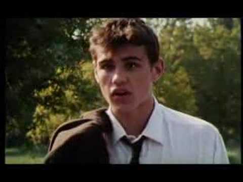 Les Roseaux Sauvages