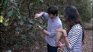 Miniatura do vídeo