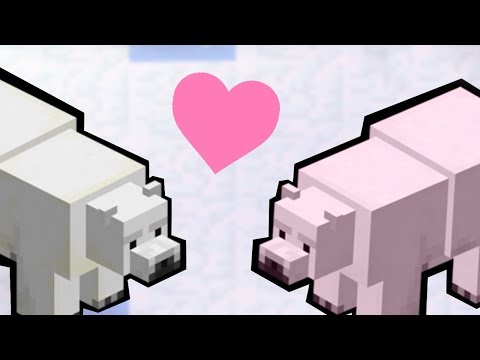 LA CASA DEGLI ORSI POLARI !! Minecraft Vanilla Ita #13