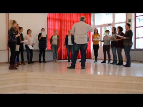 DA-Klapa 2016. - O Polo nemila - maestro Marko Rogošić