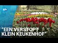Poldertuin Anna Paulowna: paradijs voor bloemenliefhebbers