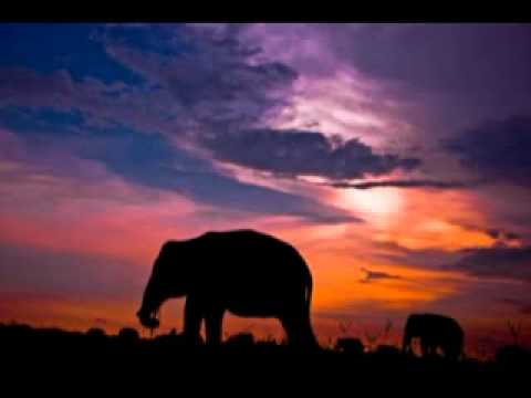  Belilah Lagu Boomerang   Berita Cuaca dan kasetnya di Toko Terdekat Maupun di  iTunes ata download gudang lagu mp3 terbaru 2019 Download Mp3 Gratis Boomerang Berita Cuaca