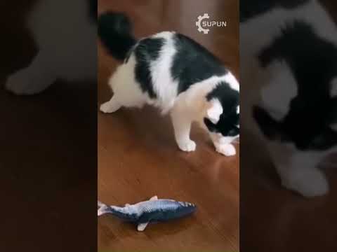 Funny Cat 🐈 #cutecat #cat #funnycat #kitty #funnyfails #catfails #viralvideo #viralshorts #catvideos
