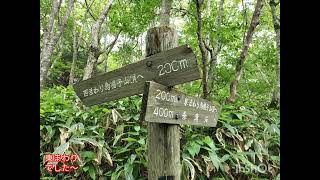 烏帽子山〜比婆山(御陵)〜池の段〜立烏帽子山　2025.7.19
