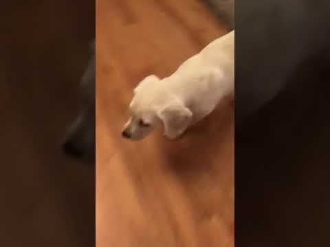 Tammy, Tammy, Tammy! You are as cute a can be!!!