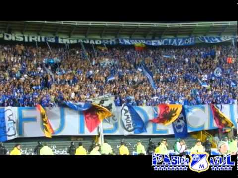 "Blue Rain Alentando En La Final" Barra: Comandos Azules • Club: Millonarios