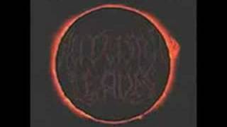 Autumn Leaves - The Reign Supreme