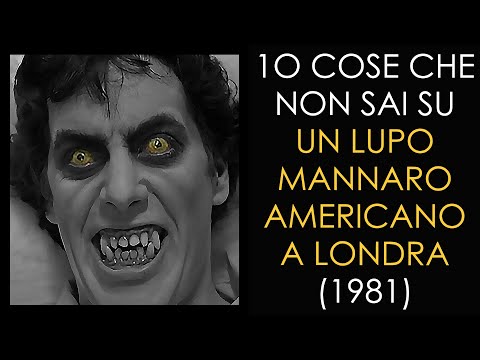 10 COSE CHE NON SAI SU UN LUPO MANNARO AMERICANO A LONDRA - 1981 - THE VNTG NETWORK