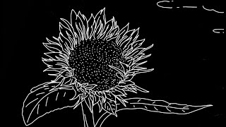 Justin Rutledge - 'Easy' (Official Visualizer)