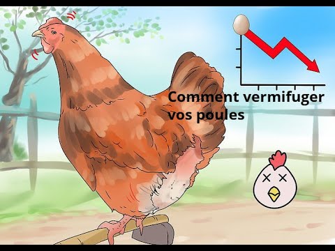 , title : 'Comment vermifuger vos poules'